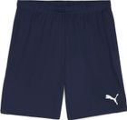 Teamgoal Shorts