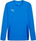 Teamgoal LS Jersey