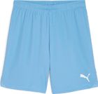Teamgoal Shorts