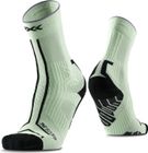 Trailrun Terraskin Expert Crew