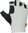 Glove Ultd. SF