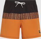 O'neill Cali Block 15'' Swimshorts