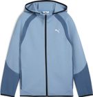 Evostripe Full-zip Hoodie DK B