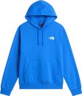 Mens Evolution Box NSE Regular Hoodie