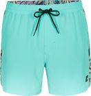 Coast Ocean 15'' Swim Shorts