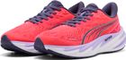 Velocity Nitro 5 Wns