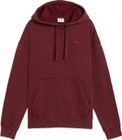 Essentials Elevated Relaxed Wash Hoodie FL