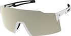 Sunglasses Stride