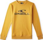 Logo Crew Sweatshirt
