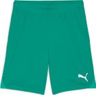 Teamgoal Shorts