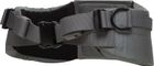 Hip Belt for Powerframe Bigpack