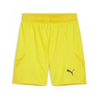 Teamfinal Shorts