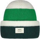 Ardem Beanie