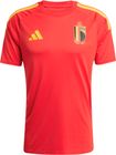 Belgium 26 Home Fan Jersey