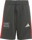 Audi Formula One Team DNA Shorts Youth