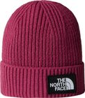 Kids TNF Box Logo Cuffed Beanie