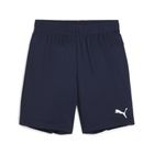 Teamgoal Shorts Jr