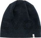 Everyday Logo Wool Beanie