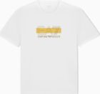 Train Visibility M Tee SS CO - Train Visibility M Tee SS CO