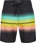 Heat Stripe Line 19'' Boardshorts