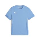 Teamgoal Matchday Jersey jr