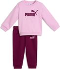 Minicats Essentials Crew Set FL Interest INF