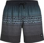 O'neill Logo Stripe 16'' Swimshorts