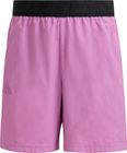 Terrex Kids Multi CLIMA365 Shorts