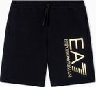 Train Core ID M BIG Logo Shorts Coft CC - Train Core ID M BIG Logo Shorts Coft CC