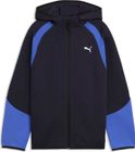 Evostripe Full-zip Hoodie DK B