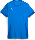 Teamgoal Matchday Jersey jr