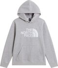 Teen TNF Essential Drew Peak Hoodie