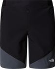 Mens Circadian Alpine Short