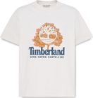 Mens Wwes Short Sleeve Front Graphic Tee