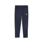 Teamgoal Training Pant