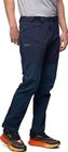 Alpine Softshell Pants Men