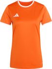 Entrada26 Jersey