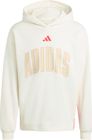 Stadium Graphic Hoodie