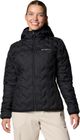 Delta Ridge II Down Hooded Jacket