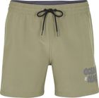 Packable 15'' Hybrid Shorts
