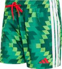 Football-inspired Graphic Swim Shorts 5-inch