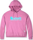 Tencel Fibre Series Loose Fit Fall Graphic Hooded Sweatshirt    