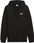 Essentials Small No. 1 Logo Hoodie TR