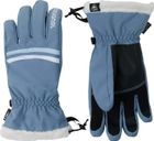 W Piste Ski Gloves R-shell DRY