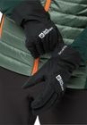Winter Basic Glove