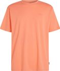 O'neill Small Logo T-shirt