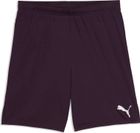 Teamgoal Shorts
