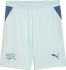 SFV Shorts Replica