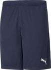 Teamrise Training Shorts
