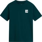Mens Evolution Box Half Dome Regular Short